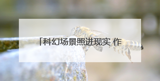 科幻场景照进现实 作业机器人、低空科技、AI应用成西博会焦点