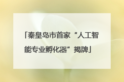 秦皇岛市首家“人工智能专业孵化器”揭牌