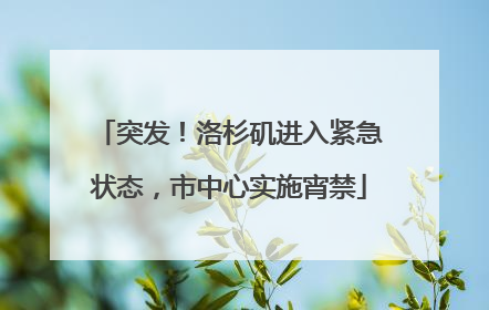突发！洛杉矶进入紧急状态，市中心实施宵禁