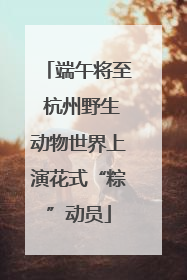 端午将至 杭州野生动物世界上演花式“粽”动员