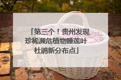 第三个！贵州发现珍稀濒危植物睡莲叶杜鹃新分布点