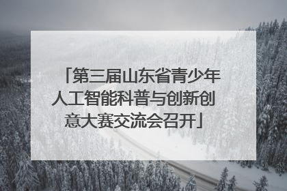第三届山东省青少年人工智能科普与创新创意大赛交流会召开