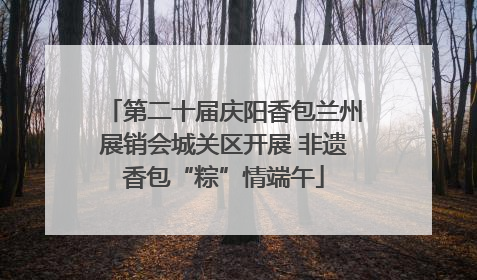 第二十届庆阳香包兰州展销会城关区开展 非遗香包“粽”情端午
