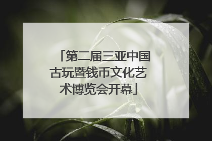 第二届三亚中国古玩暨钱币文化艺术博览会开幕