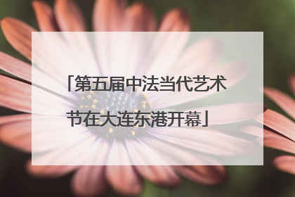 第五届中法当代艺术节在大连东港开幕