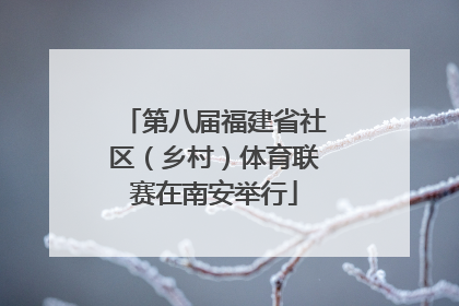 第八届福建省社区（乡村）体育联赛在南安举行