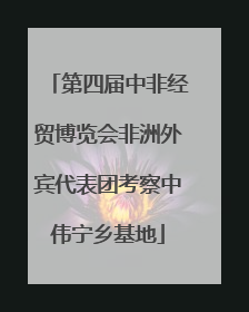第四届中非经贸博览会非洲外宾代表团考察中伟宁乡基地