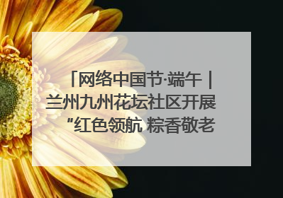 网络中国节·端午｜兰州九州花坛社区开展“红色领航 粽香敬老”端午主题活动