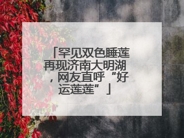 罕见双色睡莲再现济南大明湖，网友直呼“好运莲莲”
