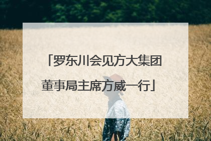 罗东川会见方大集团董事局主席方威一行