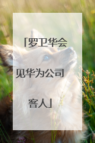 罗卫华会见华为公司客人