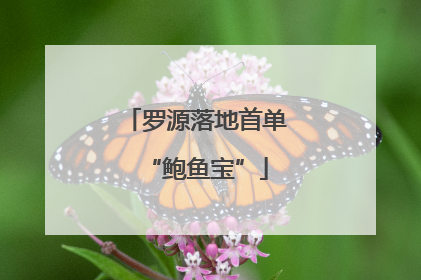 罗源落地首单“鲍鱼宝”