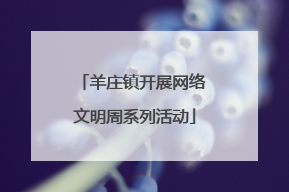 羊庄镇开展网络文明周系列活动
