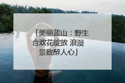 美丽蓝山：野生合欢花绽放 浪漫景致醉人心
