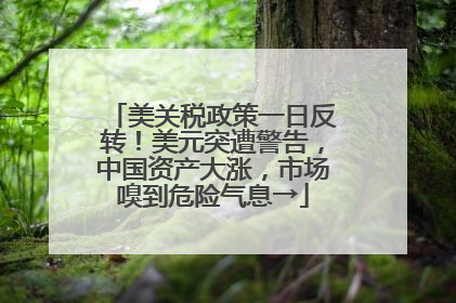 美关税政策一日反转！美元突遭警告，中国资产大涨，市场嗅到危险气息→