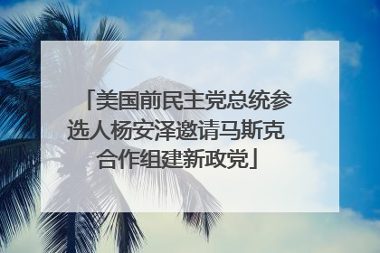 美国前民主党总统参选人杨安泽邀请马斯克合作组建新政党