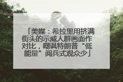 美媒：希拉里用挤满街头的示威人群画面作对比，嘲讽特朗普“低能量”阅兵式观众少