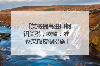 美将提高进口钢铝关税，欧盟：准备采取反制措施