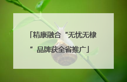 精康融合“无忧无棣”品牌获全省推广