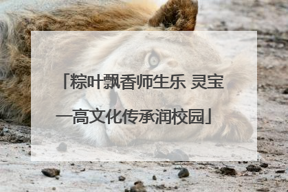 粽叶飘香师生乐 灵宝一高文化传承润校园