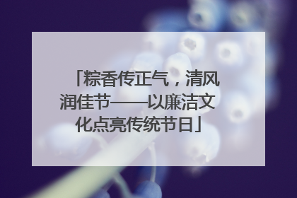 粽香传正气，清风润佳节——以廉洁文化点亮传统节日