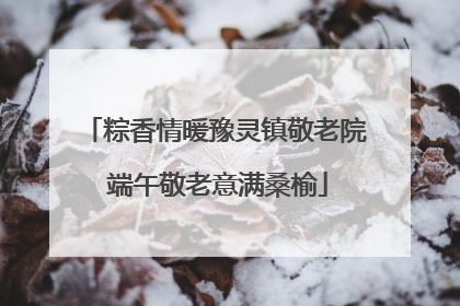粽香情暖豫灵镇敬老院 端午敬老意满桑榆