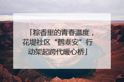 粽香里的青春温度，花堤社区“鹤耋安”行动架起跨代暖心桥