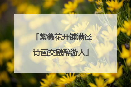 紫薇花开铺满径 诗画交融醉游人