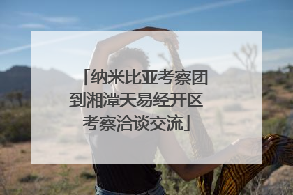 纳米比亚考察团到湘潭天易经开区考察洽谈交流