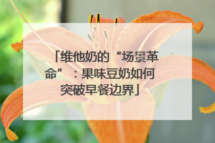 维他奶的“场景革命”：果味豆奶如何突破早餐边界
