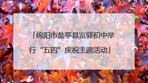 绵阳市盐亭县富驿初中举行“五四”庆祝主题活动
