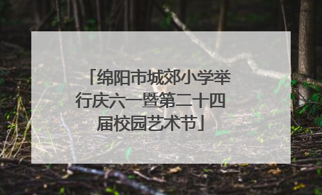 绵阳市城郊小学举行庆六一暨第二十四届校园艺术节
