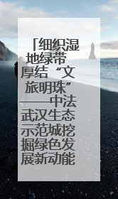 细织湿地绿带 厚结“文旅明珠”——中法武汉生态示范城挖掘绿色发展新动能