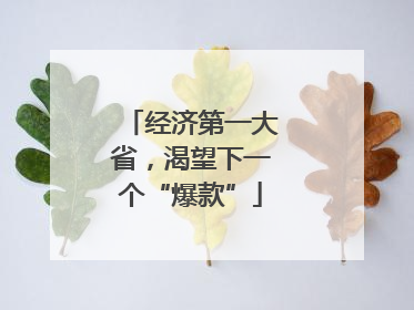 经济第一大省，渴望下一个“爆款”