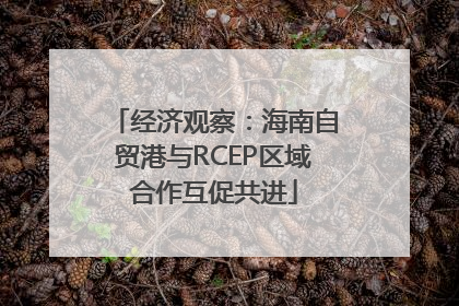 经济观察：海南自贸港与RCEP区域合作互促共进