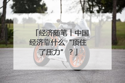 经济随笔丨中国经济靠什么“顶住了压力”？