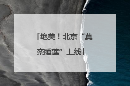 绝美！北京“莫奈睡莲”上线