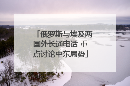 俄罗斯与埃及两国外长通电话 重点讨论中东局势