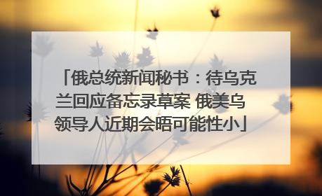 俄总统新闻秘书：待乌克兰回应备忘录草案 俄美乌领导人近期会晤可能性小