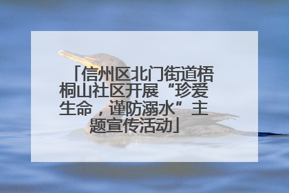 信州区北门街道梧桐山社区开展“珍爱生命，谨防溺水”主题宣传活动