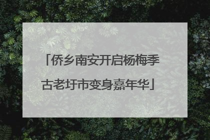 侨乡南安开启杨梅季 古老圩市变身嘉年华
