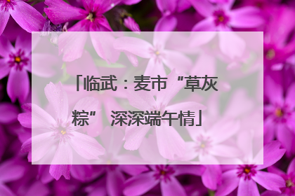 临武：麦市“草灰粽” 深深端午情