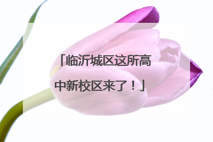 临沂城区这所高中新校区来了！