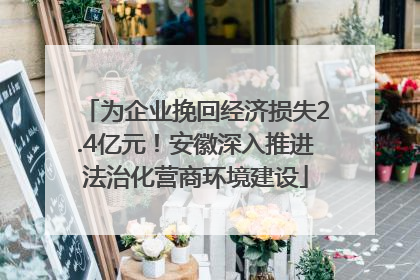为企业挽回经济损失2.4亿元！安徽深入推进法治化营商环境建设