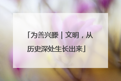 为善兴滕｜文明，从历史深处生长出来