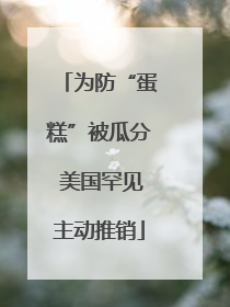 为防“蛋糕”被瓜分 美国罕见主动推销