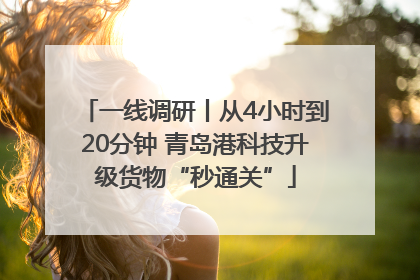 一线调研丨从4小时到20分钟 青岛港科技升级货物“秒通关”
