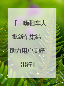 一嗨租车大批新车集结 助力用户美好出行