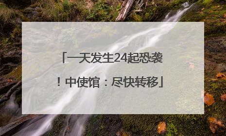 一天发生24起恐袭！中使馆：尽快转移