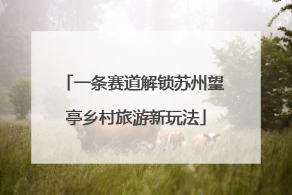 一条赛道解锁苏州望亭乡村旅游新玩法
